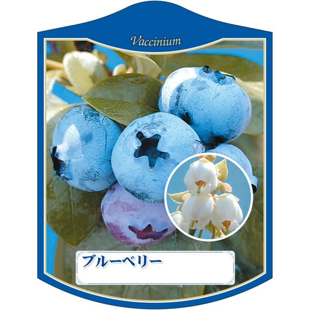 ARC ブルーベリー K 園芸用ラベル【105mm×80mm】100枚入 T2TMK046-01