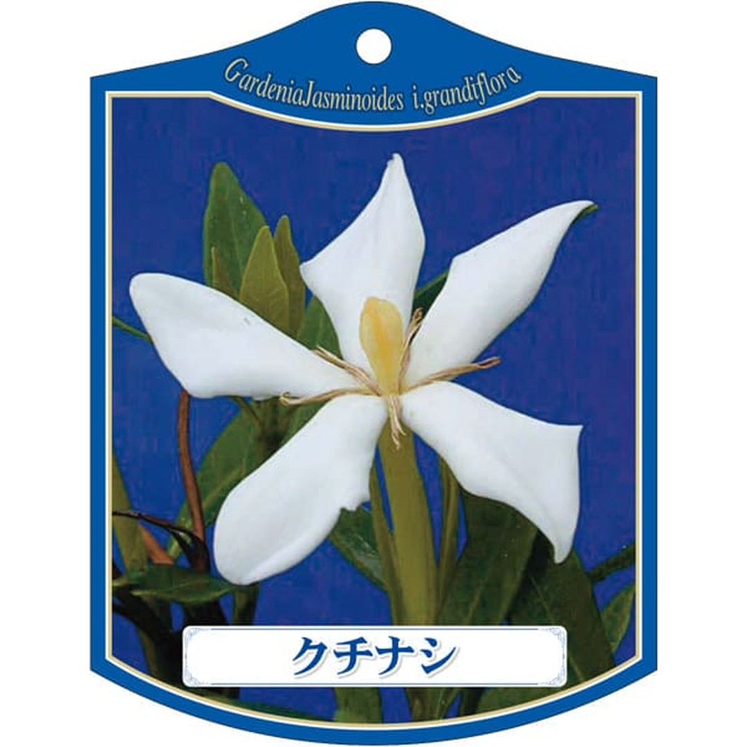ARC クチナシ K 園芸用ラベル【105mm×80mm】100枚入 T2TMK065-01