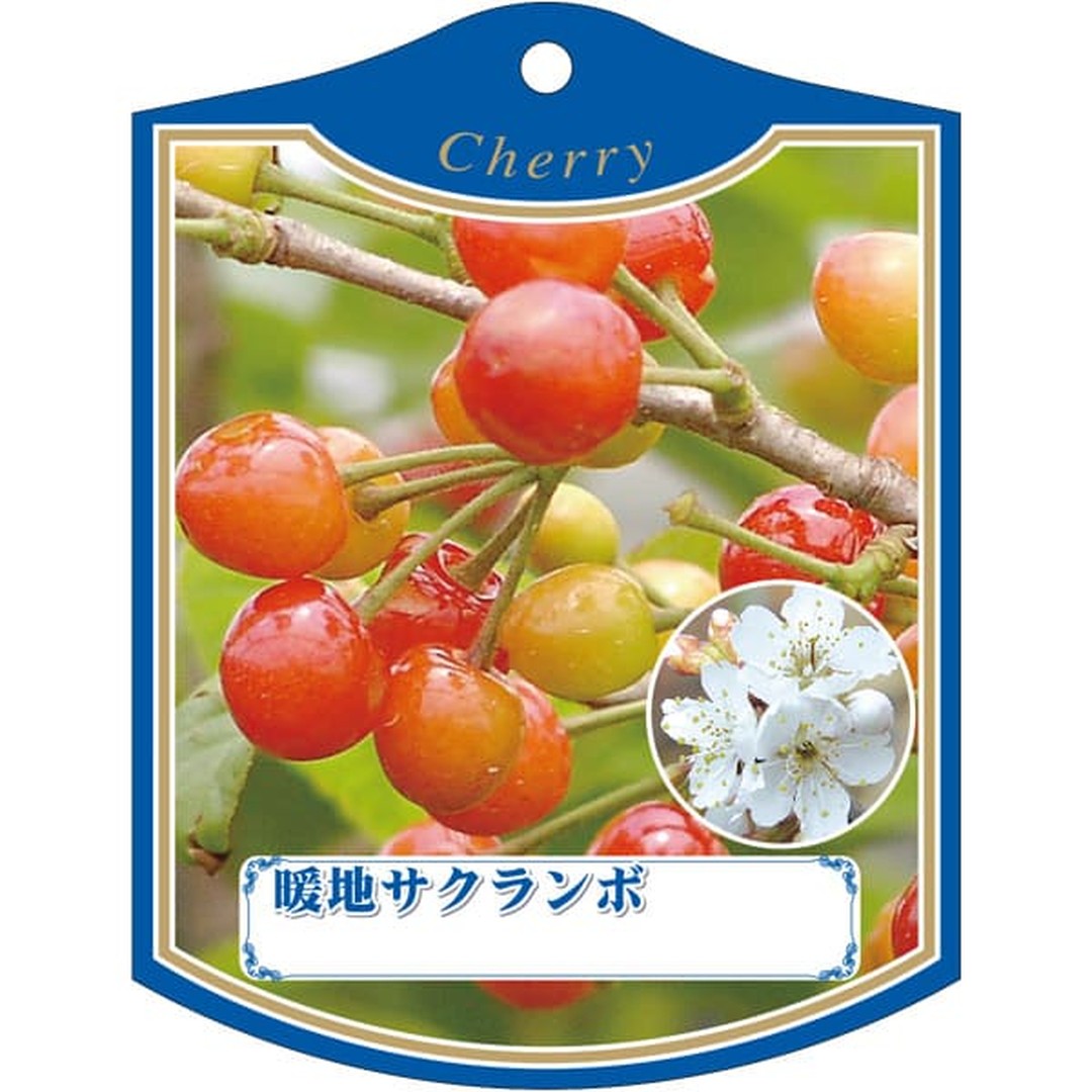 ARC ダンチ サクランボ K 園芸用ラベル【105mm×80mm】100枚入 T2TMK236-01