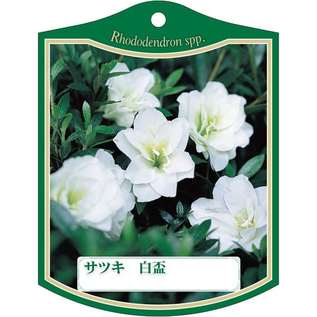 ARC サツキ ハクハイ K 園芸用ラベル【105mm×80mm】100枚入 T2TMK240-01