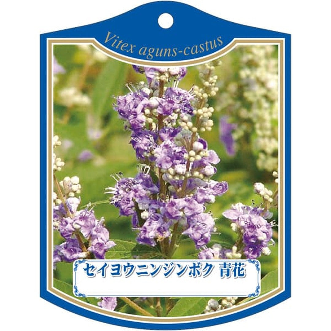 ARC セイヨウ ニンジンボク アオ K 園芸用ラベル【105mm×80mm】100枚入 T2TMK244-01
