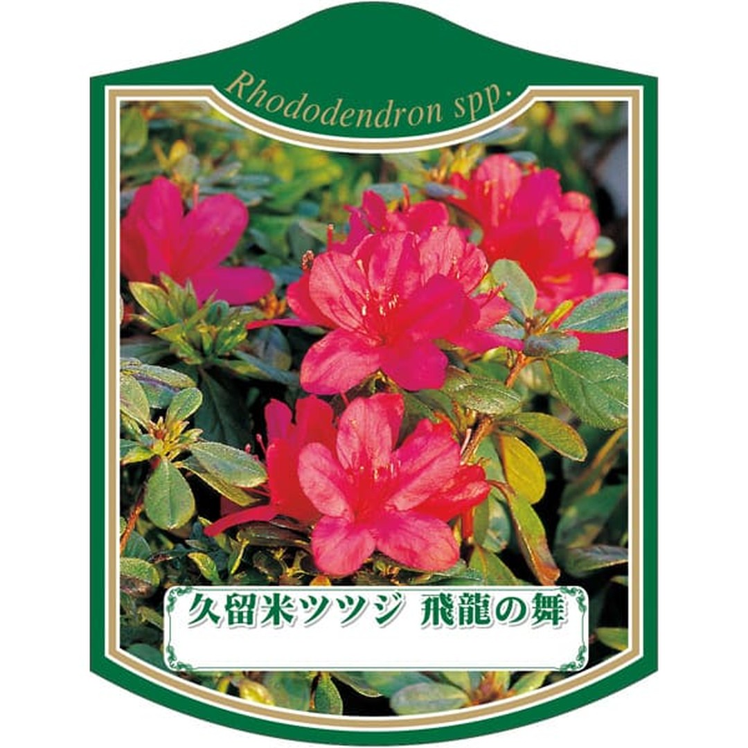 ARC クルメツツジ ヒリュウノマイ K 園芸用ラベル【105mm×80mm】100枚入 T2TMK249-01