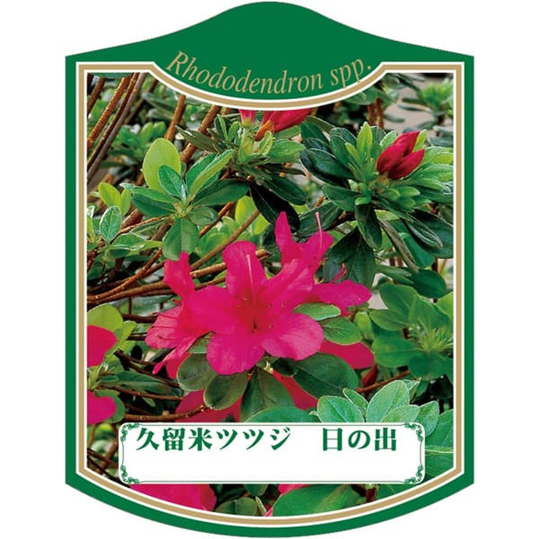 ARC クルメツツジ ヒノデ K 園芸用ラベル【105mm×80mm】100枚入 T2TMK415-01