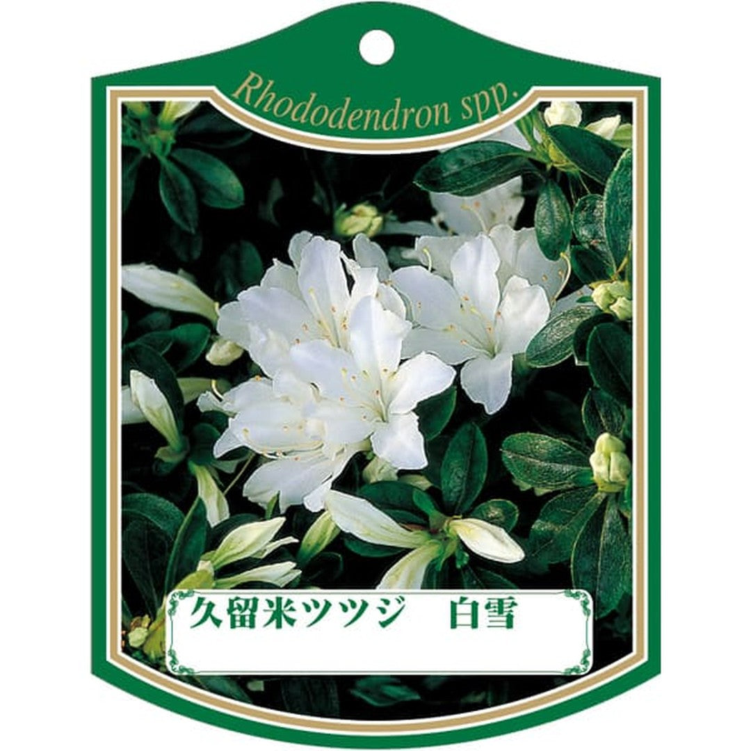 ARC クルメツツジ シラユキ 園芸用ラベル【105mm×80mm】100枚入 T2TMK417-01