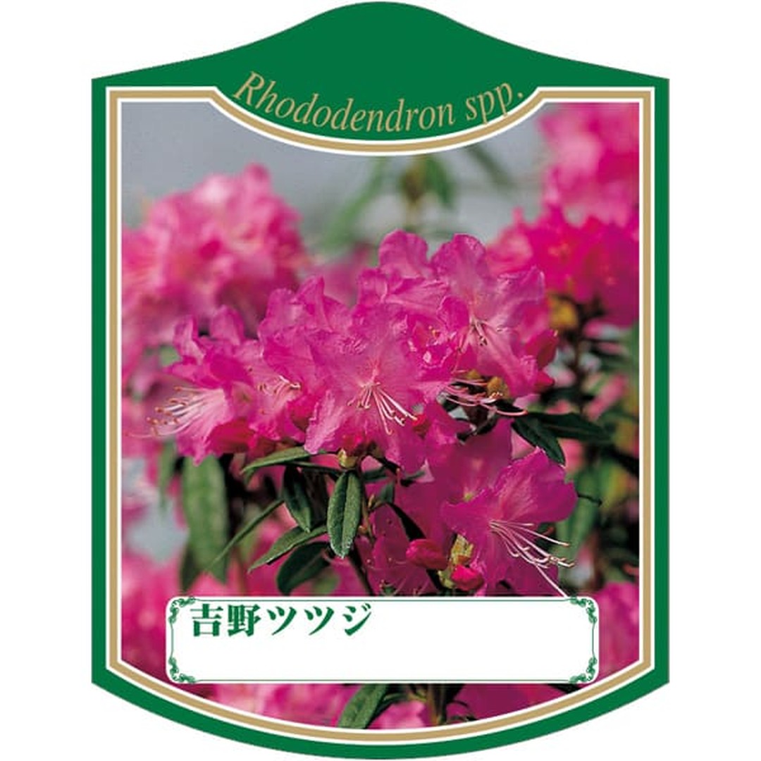 ARC ヨシノツツジ K 園芸用ラベル【105mm×80mm】100枚入 T2TMK418-01