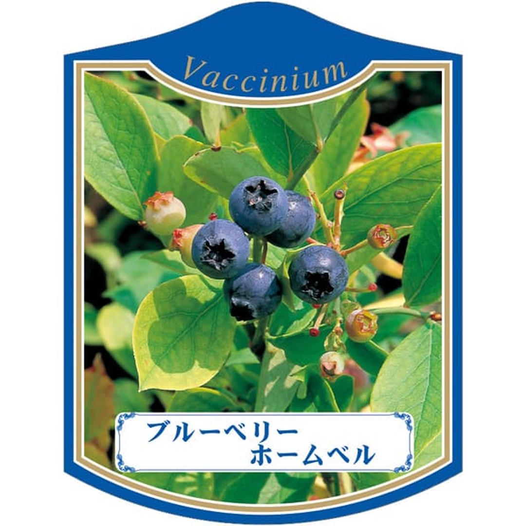 ARC ブルーベリー ホームベル K 園芸用ラベル【105mm×80mm】100枚入 T2TMK429-01
