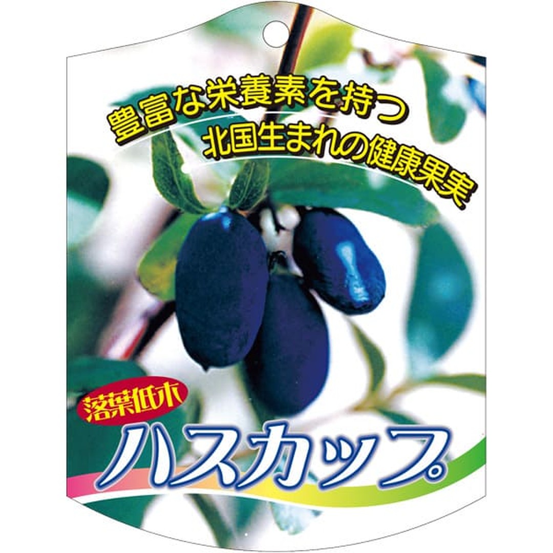 ARC ハスカップ K 園芸用ラベル【105mm×80mm】100枚入 T2TMK597-01