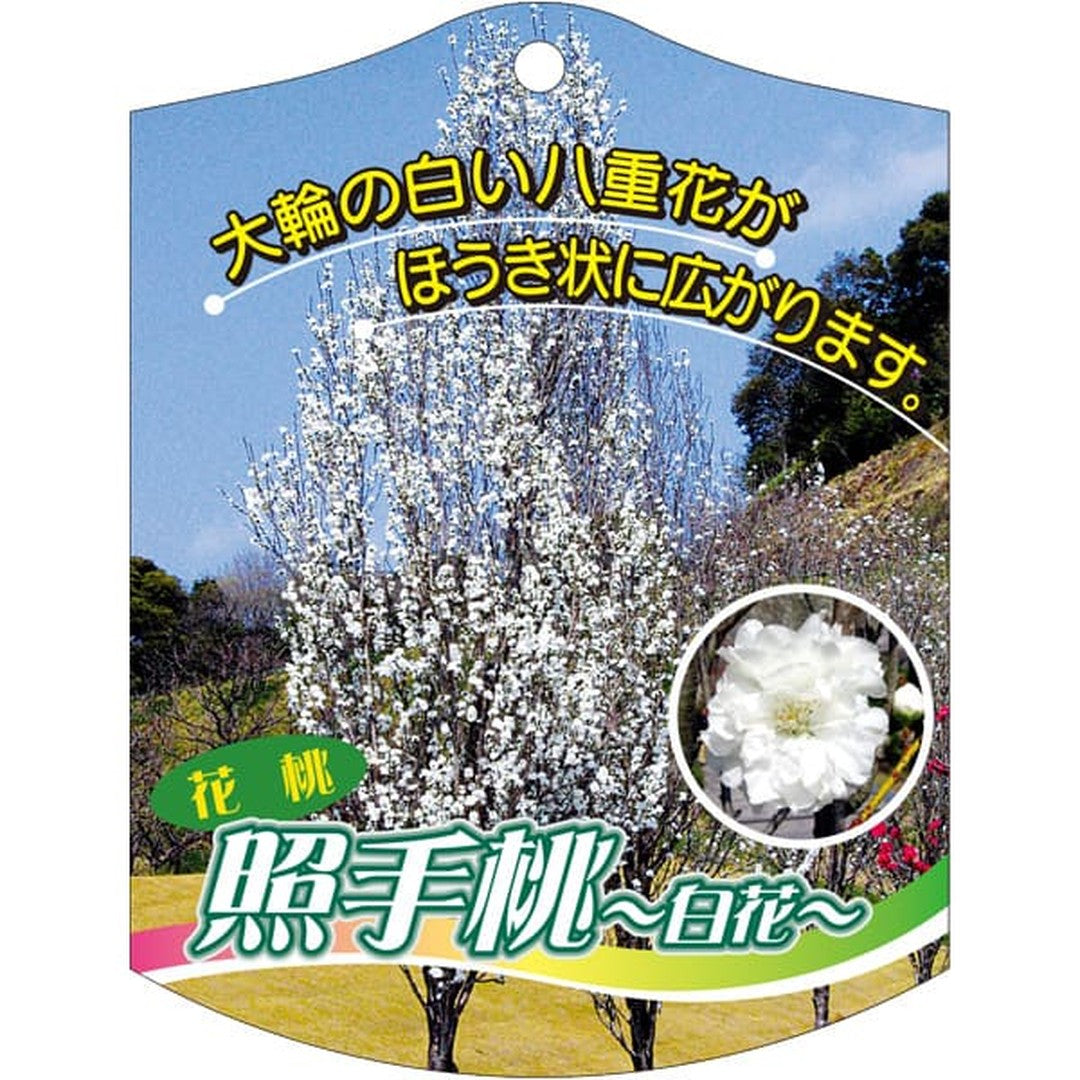 ARC テルテモモ シロ K 園芸用ラベル【105mm×80mm】100枚入 T2TMK601-01