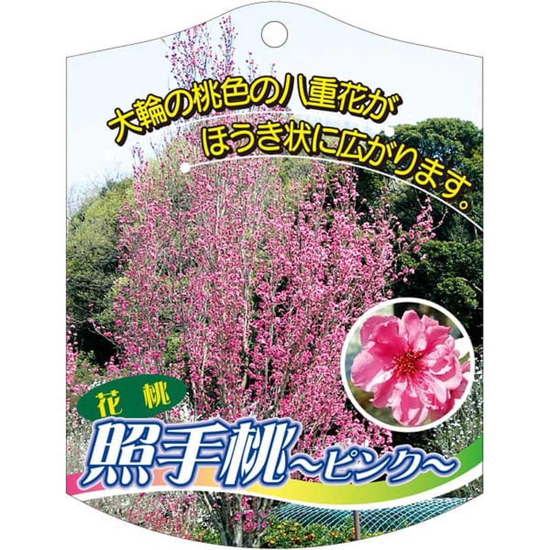 ARC テルテモモ ピンク K 園芸用ラベル【105mm×80mm】100枚入 T2TMK602-01