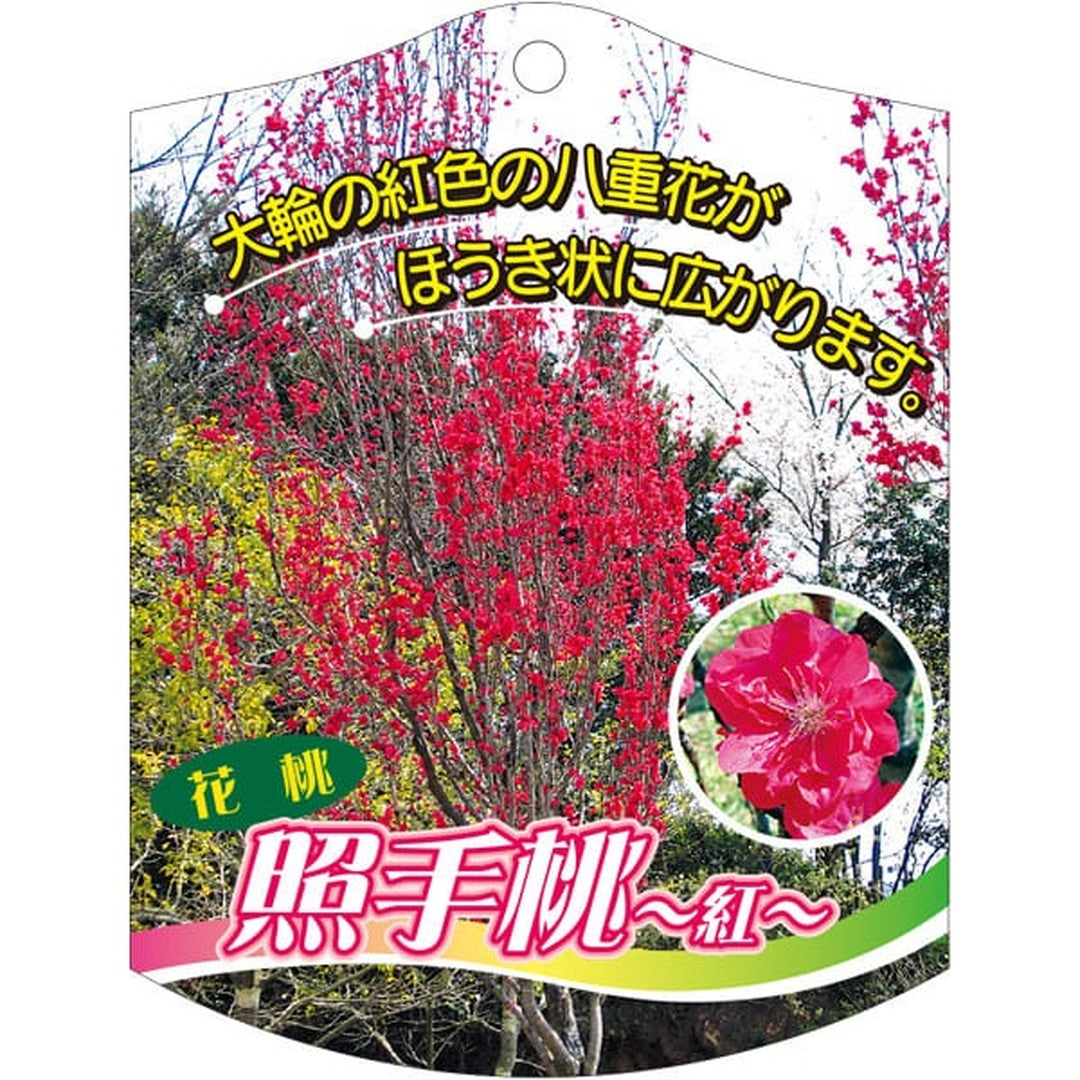 ARC テルテモモ アカ K 園芸用ラベル【105mm×80mm】100枚入 T2TMK603-01