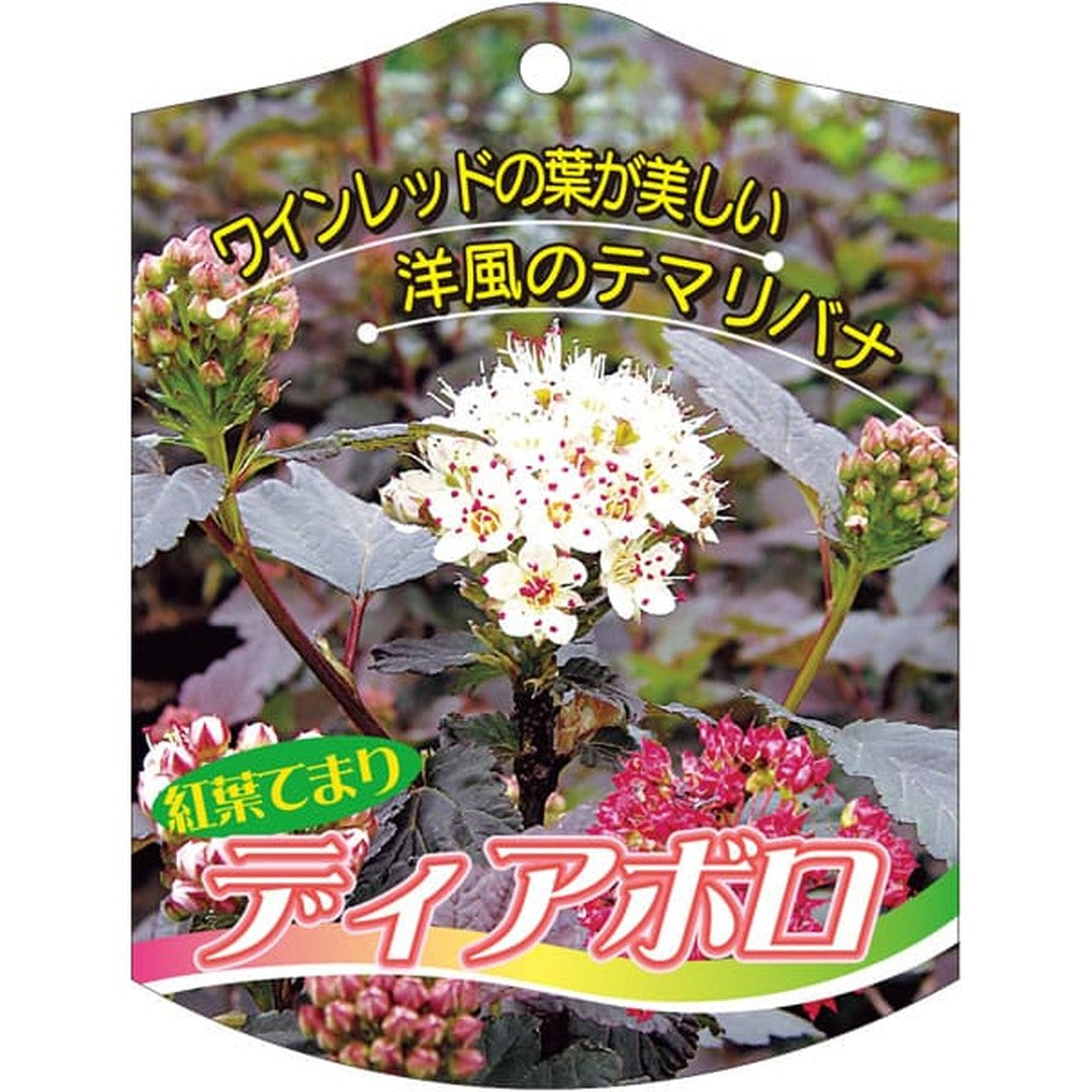 ARC ディアボロ K 園芸用ラベル【105mm×80mm】100枚入 T2TMK628-01