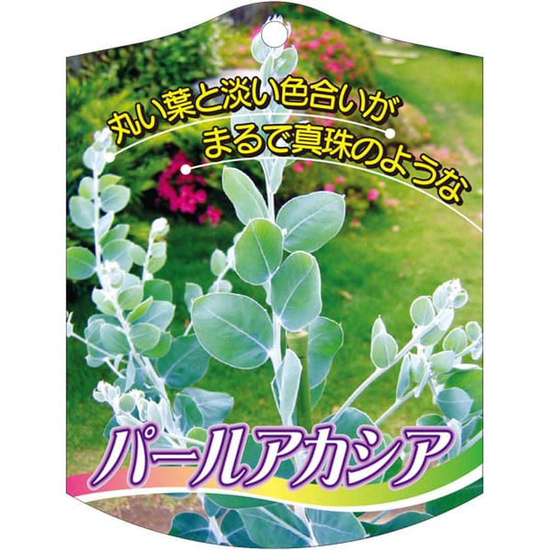 ARC パールアカシア K 園芸用ラベル【105mm×80mm】100枚入 T2TMK642-01