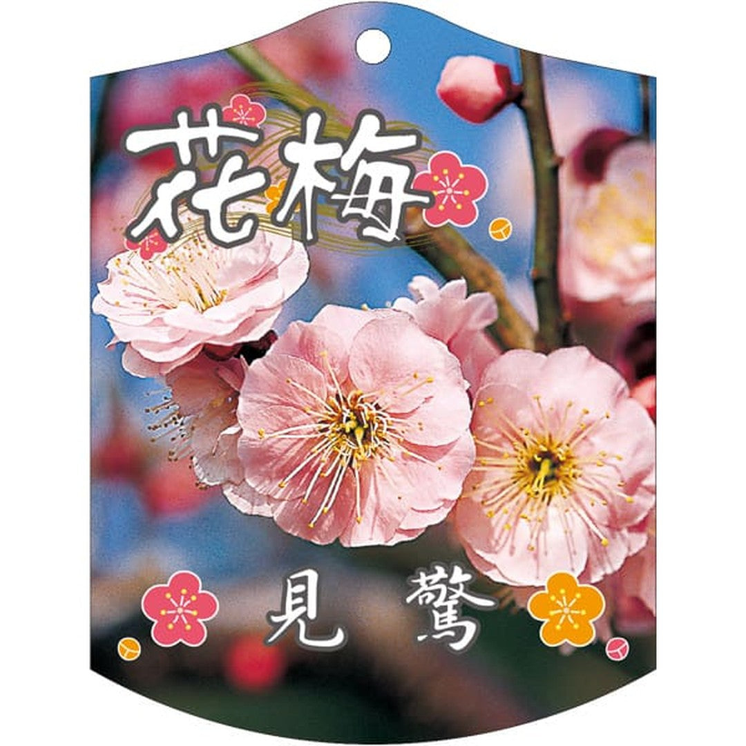ARC ウメ ケンキョウ K 園芸用ラベル【105mm×80mm】100枚入 T2TMK679-01