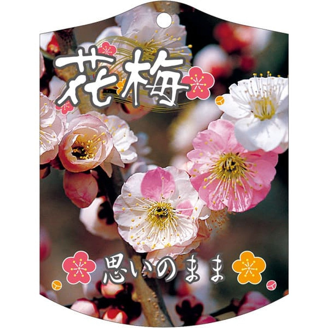 ARC ウメ オモイノママ K 園芸用ラベル【105mm×80mm】100枚入 T2TMK680-01