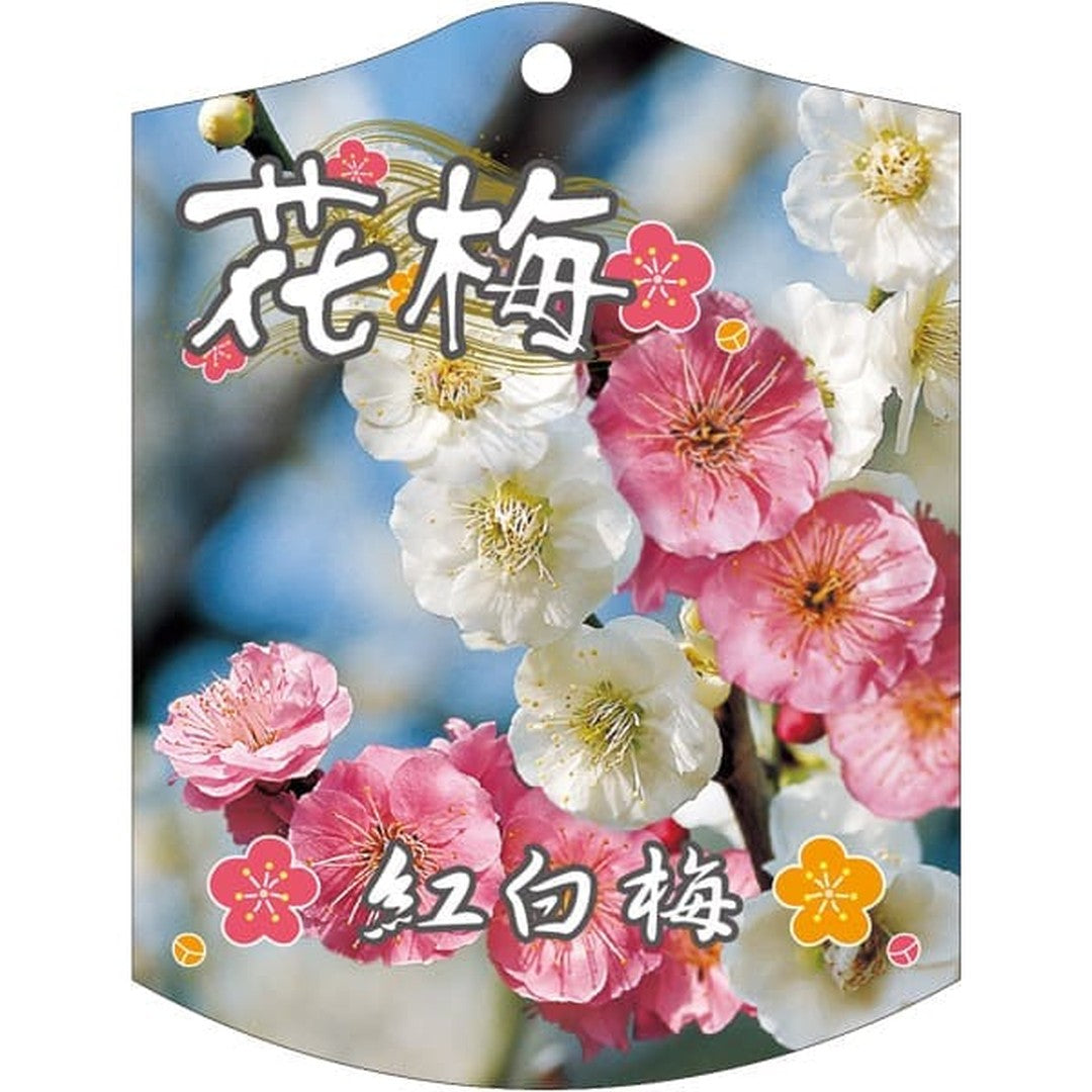 ARC ウメ コウハクウメ K 園芸用ラベル【105mm×80mm】100枚入 T2TMK682-01