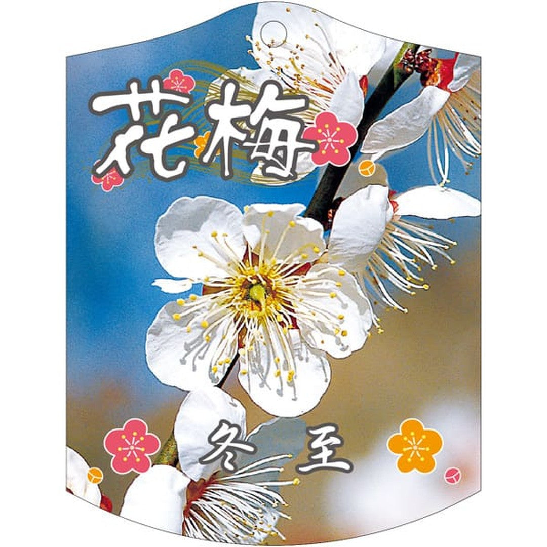 ARC ウメ トウジ K 園芸用ラベル【105mm×80mm】100枚入 T2TMK689-01