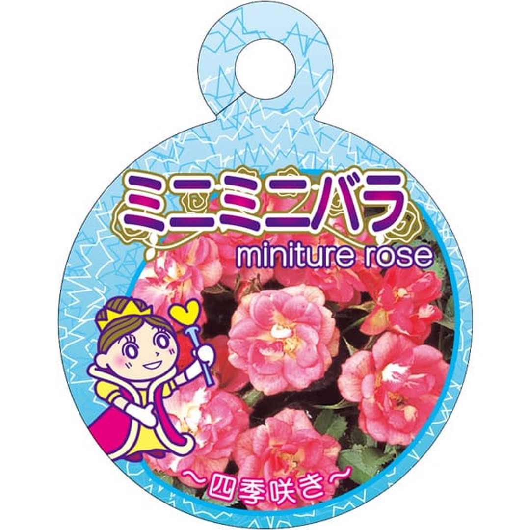 ARC ミニバラ シキザキ O 園芸用ラベル【70mm×55mm】100枚入 T2TMK723-01