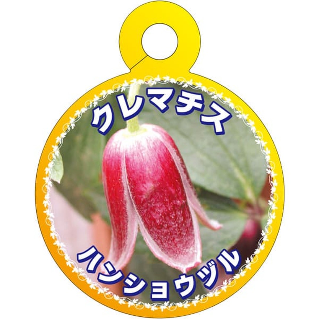 ARC クレマチス ハンショウヅル O 園芸用ラベル【70mm×55mm】100枚入 T2TMK750-01