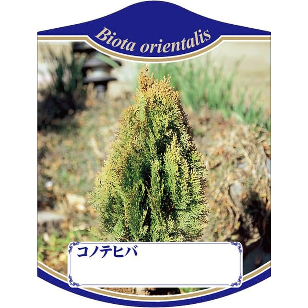 ARC コノテヒバ K 園芸用ラベル【105mm×80mm】100枚入 T2TMK781-01