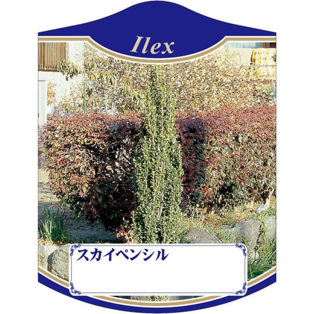 ARC スカイペンシル K 園芸用ラベル【105mm×80mm】100枚入 T2TMK783-01