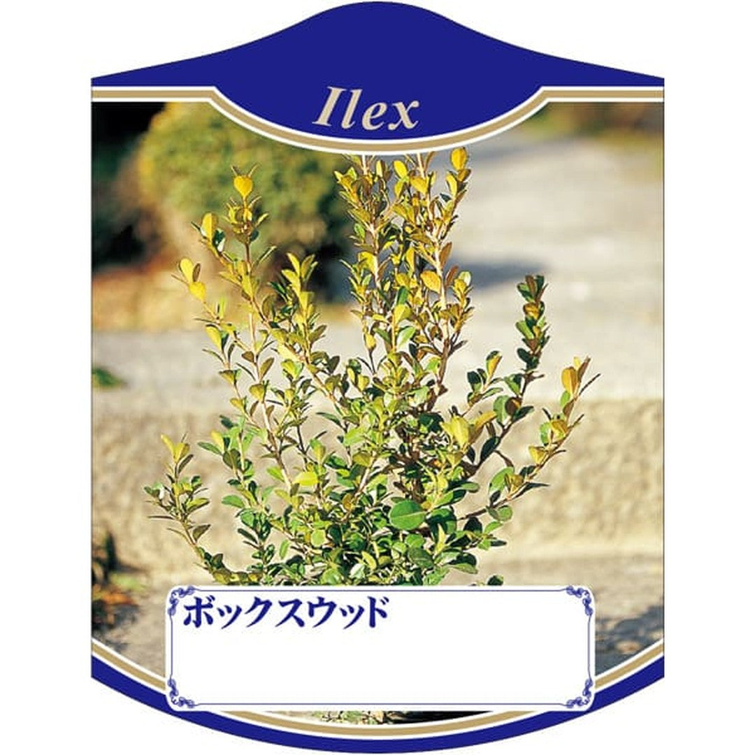 ARC ボックスウッド K 園芸用ラベル【105mm×80mm】100枚入 T2TMK785-01