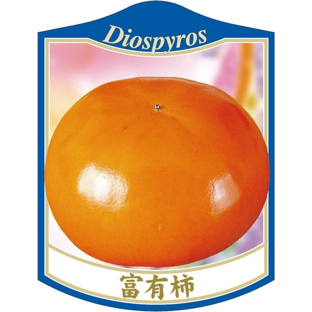 ARC カキ フユウ 6804 K 園芸用ラベル【105mm×80mm】100枚入 T2TMK835-01