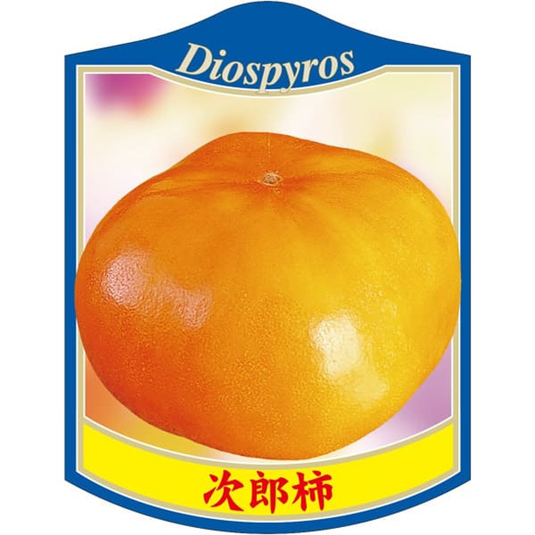 ARC カキ ジロウ 6804 K 園芸用ラベル【105mm×80mm】100枚入 T2TMK836-01