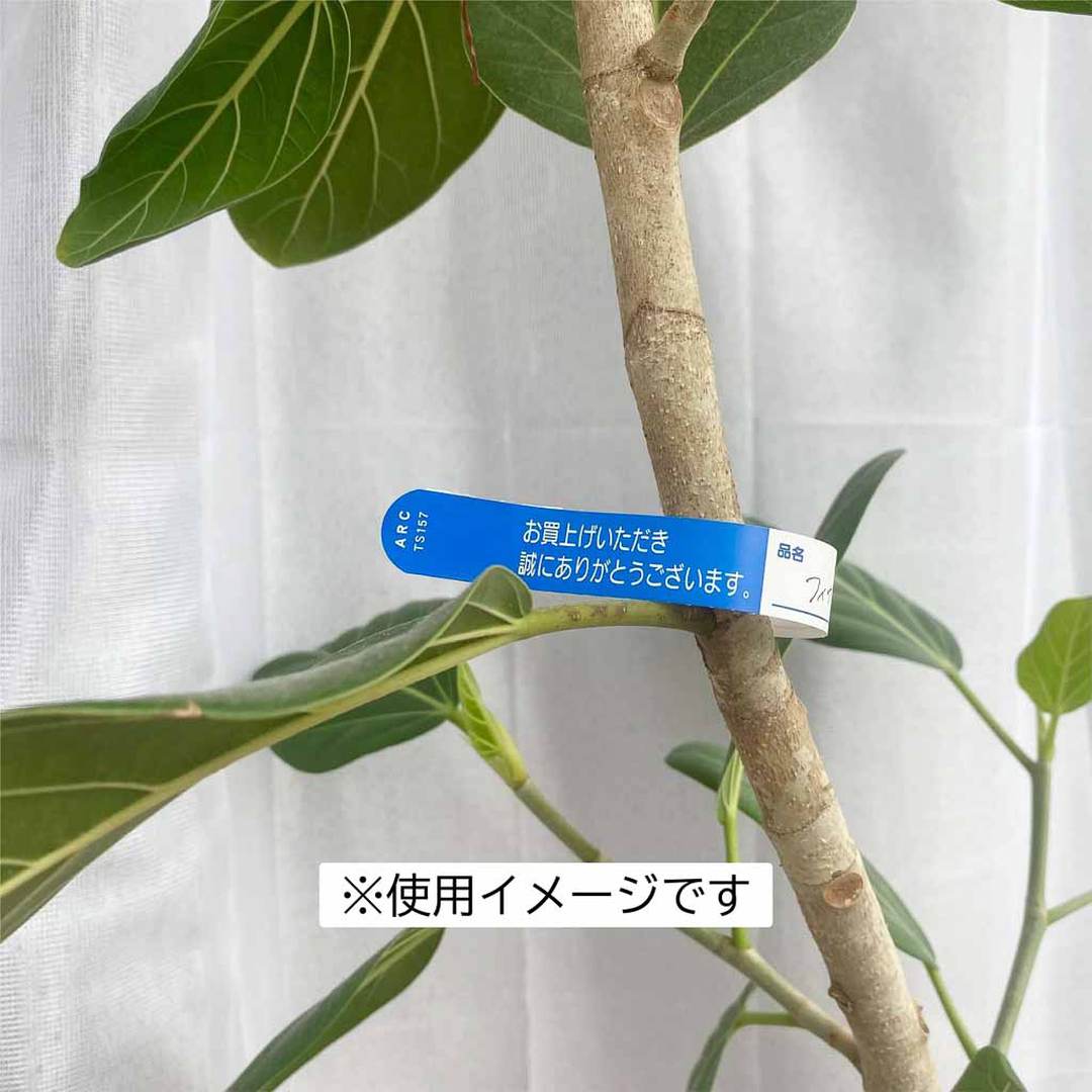 枝巻きラベル S157 アオ 園芸用【15mm×180mm】1000枚入 TS157B 枝巻きラベル S157 アオ 園芸用【15mm×180mm】1000枚入 TS157B