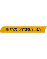 脂がのっておいし  PI