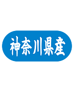 神奈川県産トラック  GR