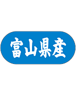 富山県産トラック    GR