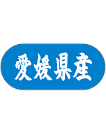 愛媛県産トラック    GR