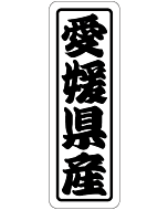 愛媛県産上質 RE