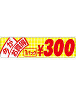 今がお買得小300 RE