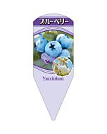 ブルーベリー L 園芸用ラベル【132.5mm×50mm】100枚入