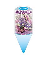 アジュガバーガンディグロ L 園芸用ラベル【132.5mm×50mm】100枚入