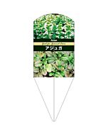 アジュガ ホワイト L 園芸用ラベル【132.5mm×50mm】100枚入
