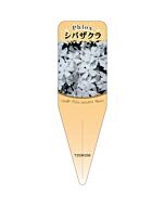 シバザクラ シロ S 園芸用ラベル【115mm×34mm】100枚入