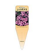 シバザクラ ピンク S 園芸用ラベル【115mm×34mm】100枚入