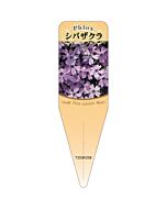 シバザクラ ムラサキ S 園芸用ラベル【115mm×34mm】100枚入