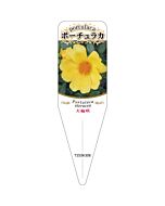タイリン ポーチュラカ 3 S 園芸用ラベル【115mm×34mm】100枚入