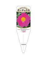 タイリン ポーチュラカ 4 S 園芸用ラベル【115mm×34mm】100枚入