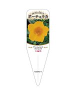 タイリン ポーチュラカ 12 S 園芸用ラベル【115mm×34mm】100枚入