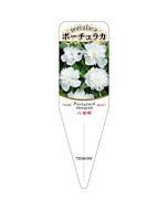 ヤエザキ ポーチュラカ 2 S 園芸用ラベル【115mm×34mm】100枚入