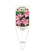 シボリザキ ポーチュラカ3 S 園芸用ラベル【115mm×34mm】100枚入