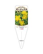 ヤエザキ ポーチュラカ 4 S 園芸用ラベル【115mm×34mm】100枚入