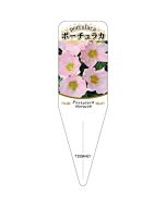 ポーチュラカ チュウリン 4 S 園芸用ラベル【115mm×34mm】100枚入
