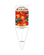 ポーチュラカ チュウリン 5 S 園芸用ラベル【115mm×34mm】100枚入