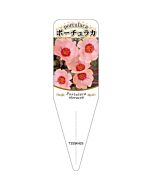 ポーチュラカ チュウリン 8 S 園芸用ラベル【115mm×34mm】100枚入