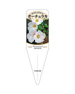 ポーチュラカ チュウリン 9 S 園芸用ラベル【115mm×34mm】100枚入